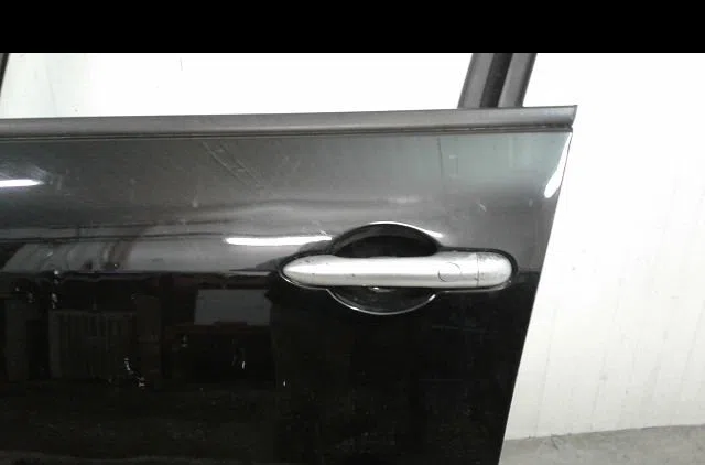 Porte avant gauche Renault SCÉNIC II (JM0-1_) 1.9 dci (jm14) (2005-2008) 5 portes occasion