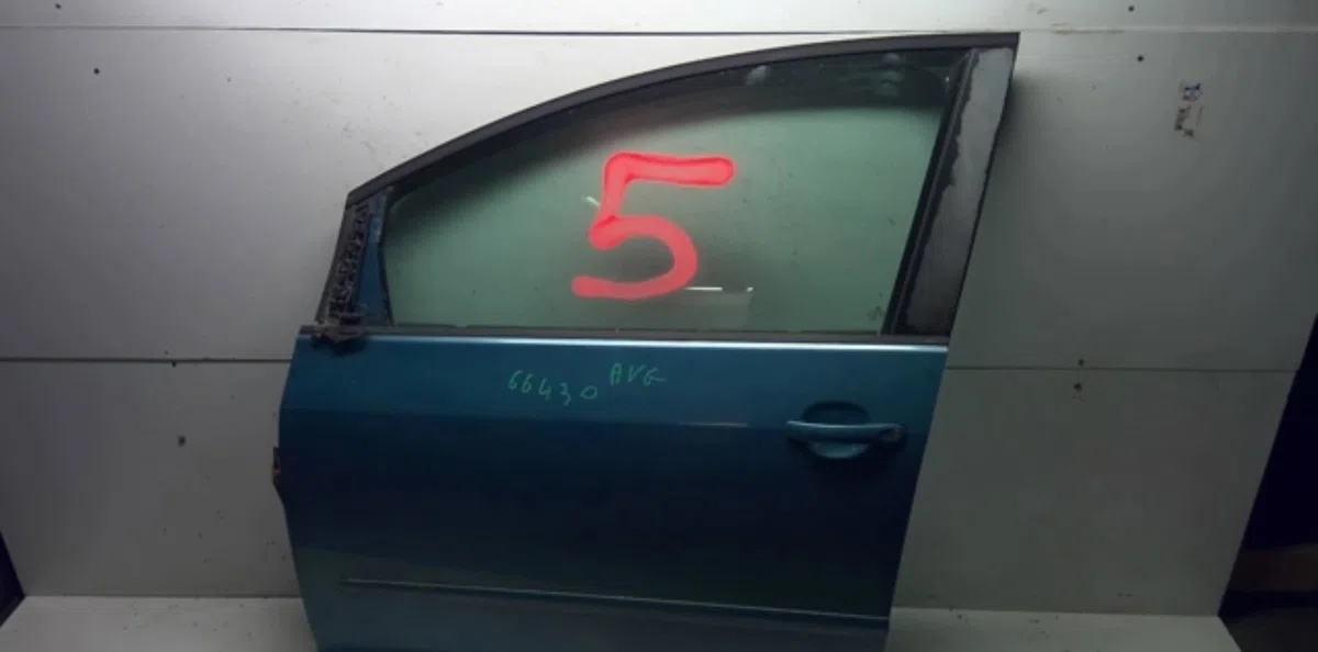 Porte avant gauche VOLKSWAGEN GOLF PLUS PHASE 1 occasion