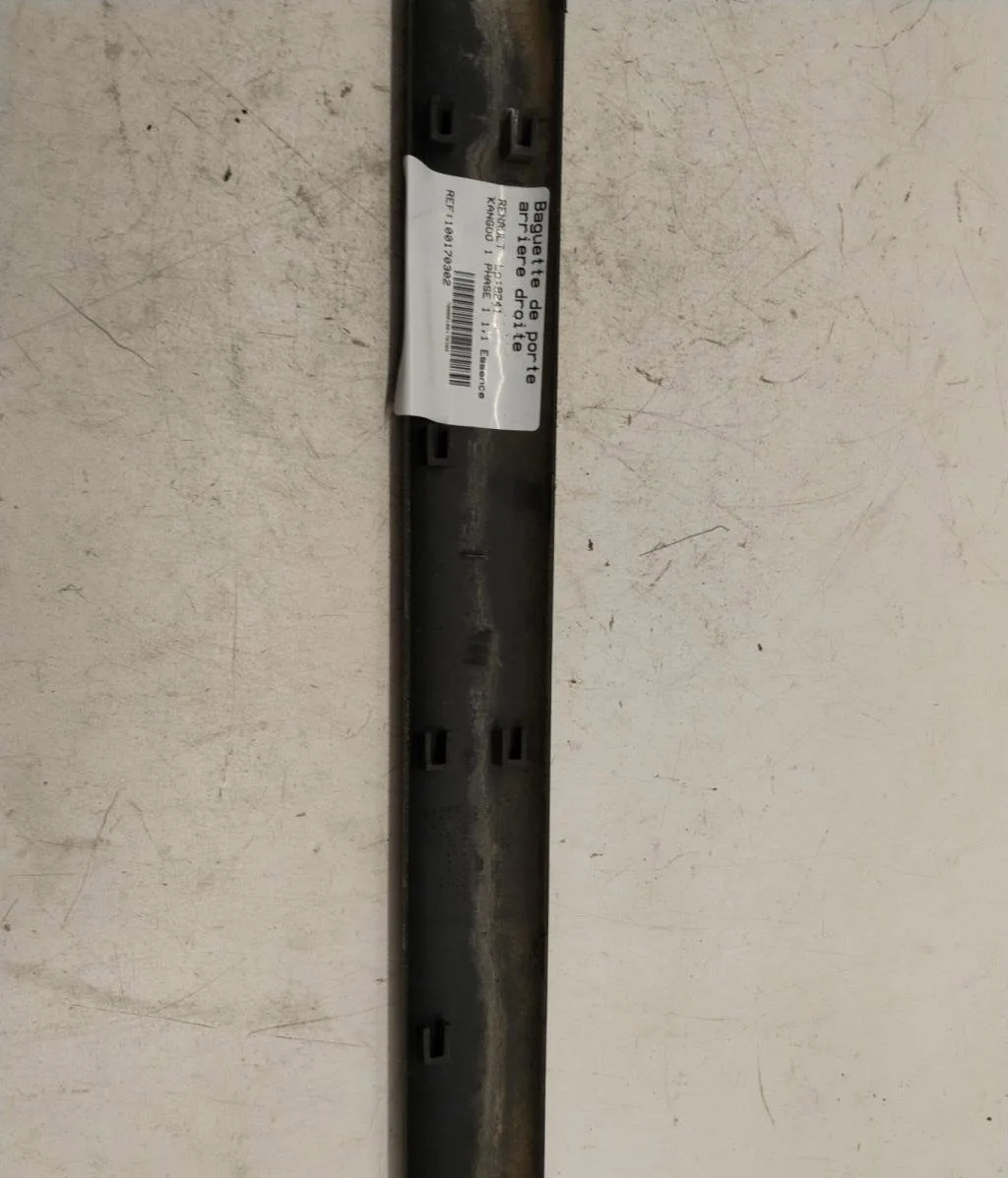 Protection porte ard Renault KANGOO Express (FC0-1_) 1.2 (fc01, fc0a, fc0f) (1997) occasion