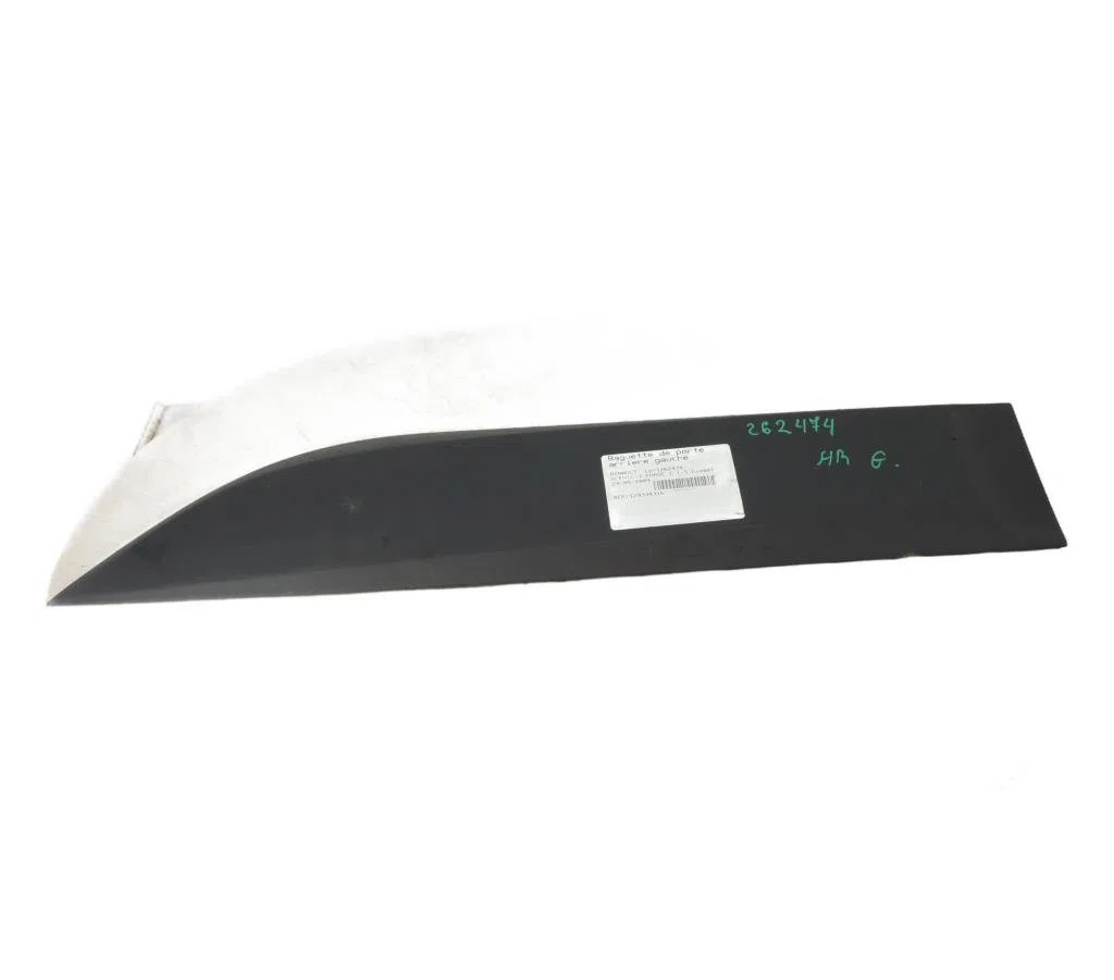 Protection porte arg RENAULT SCENIC 3 PHASE 1 occasion