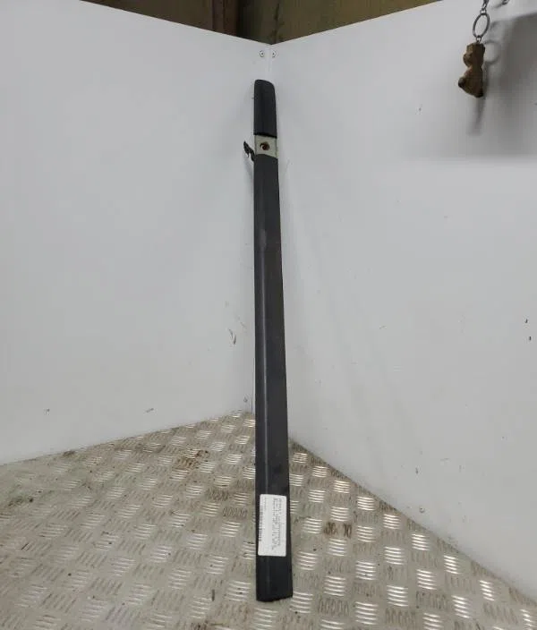 Protection porte avd RENAULT CLIO 3 PHASE 1 occasion