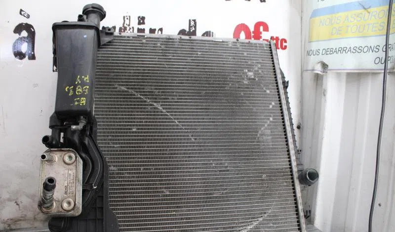Radiateur BMW X5 E53 occasion