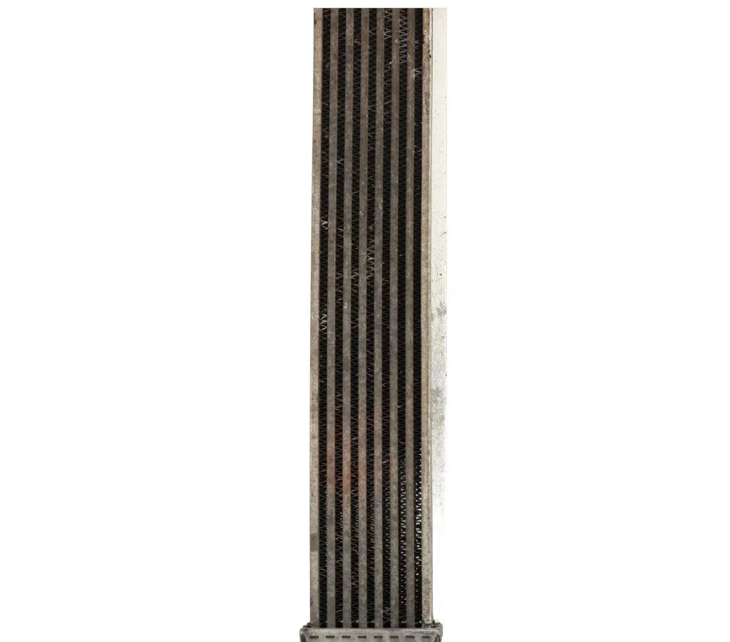 Radiateur Mercedes-benz CLASSE B Sports Tourer (W245) B 180 cdi (245.207) (2005-2011) 5 portes occasion