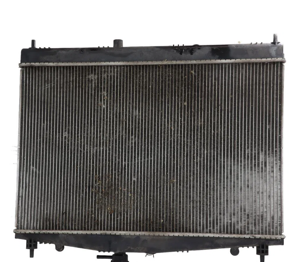 Radiateur Nissan JUKE (F15) 1.6 (2010) 5 portes occasion
