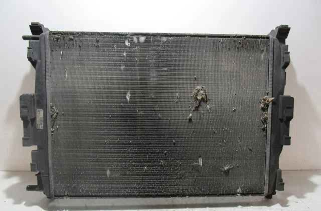 Radiateur RENAULT MEGANE II occasion