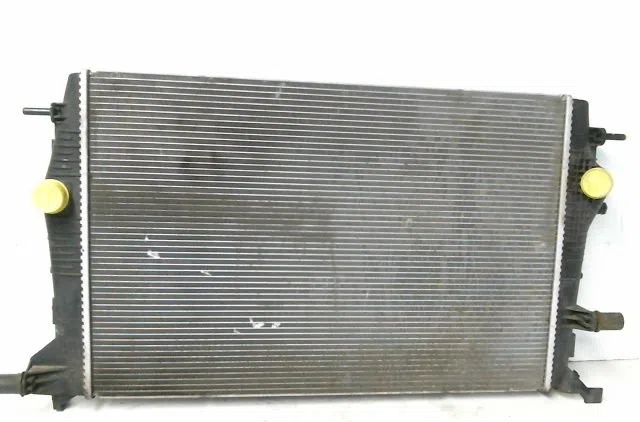Radiateur Renault SCÉNIC III (JZ0-1_) 1.9 dci (jz0j, jz1j, jz1k, jz1s) (2009) occasion