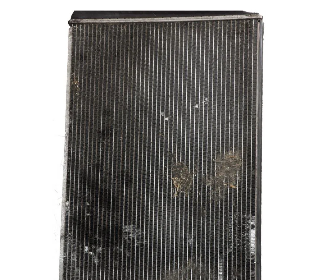 Radiateur Volkswagen GOLF PLUS V (5M1, 521) 2.0 tdi (2005-2013) occasion