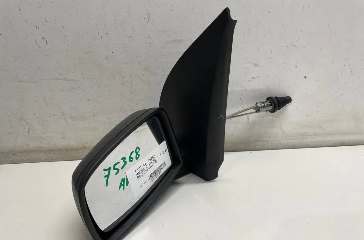 Retroviseur exterieur gauche Fiat PANDA (169_) 1.2 (169.axb11, 169.axb1a) (2003) 5 portes occasion