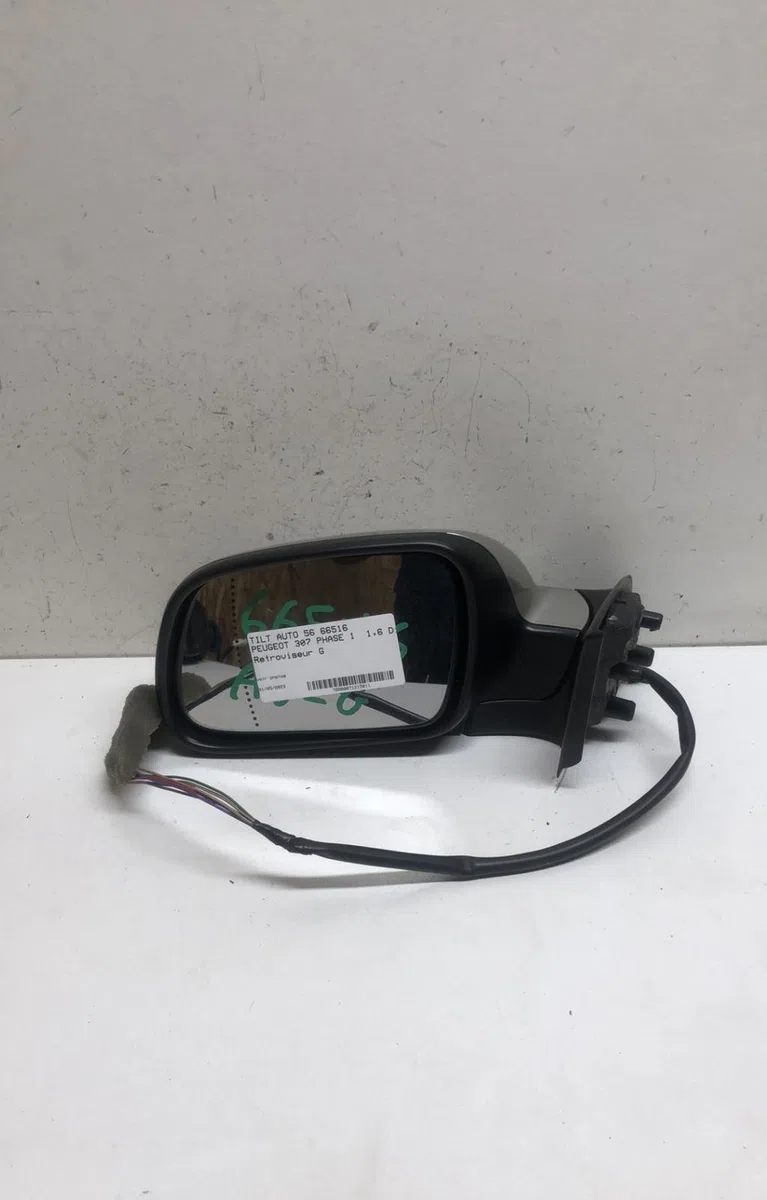 Retroviseur exterieur gauche Peugeot 307 (3A-C) 1.6 hdi (2005-2009) 5 portes occasion