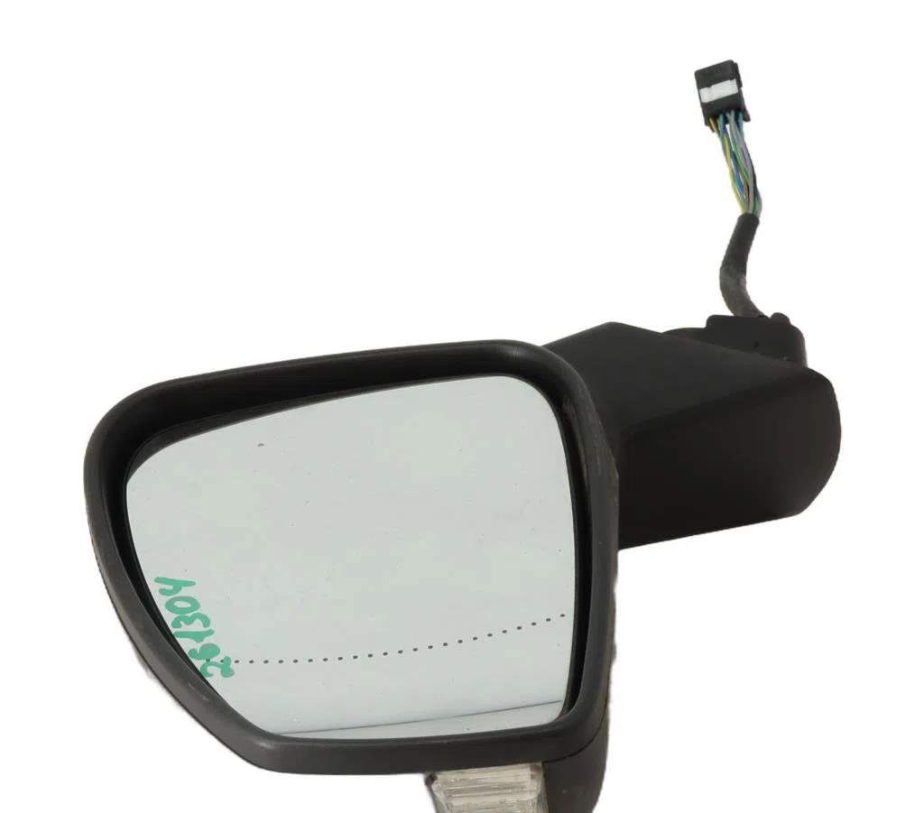 Retroviseur exterieur gauche Renault SCÉNIC III (JZ0-1_) 2.0 dci (jz0y, jz26) (2009) occasion