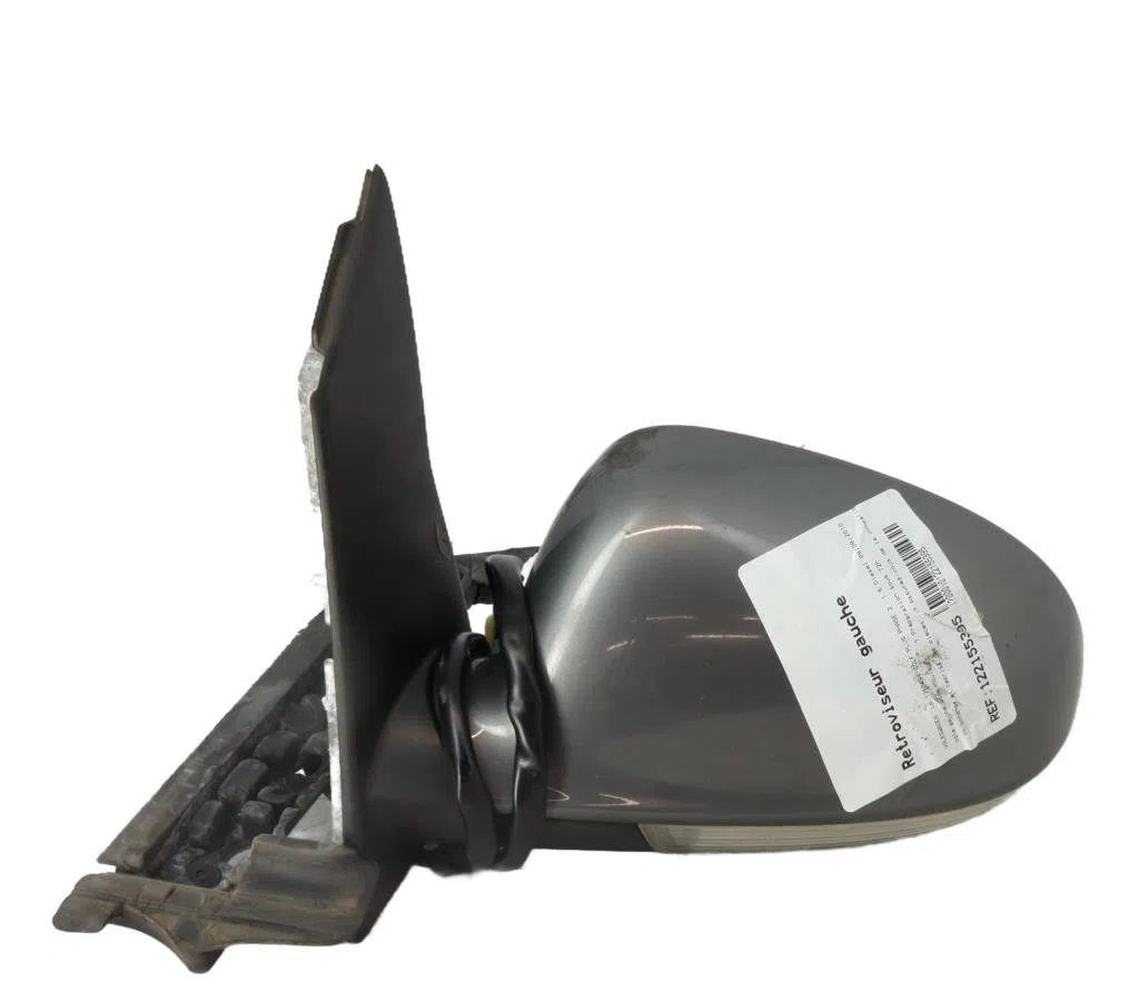 Retroviseur exterieur gauche Volkswagen GOLF PLUS V (5M1, 521) 1.6 tdi (2009-2013) 5 portes occasion