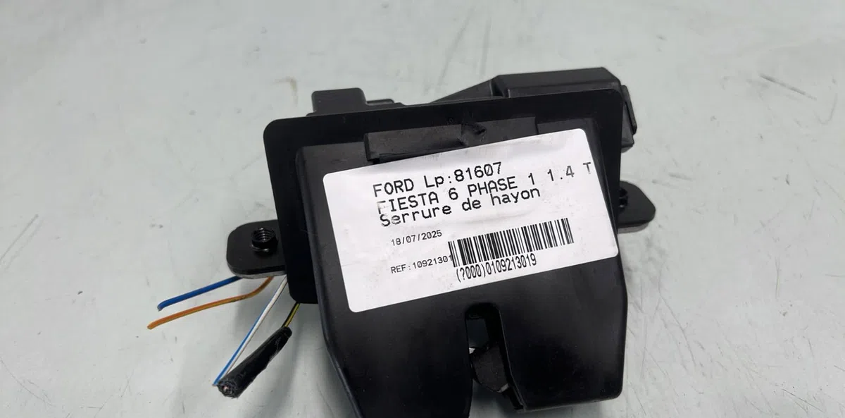 Serrure hayon FORD FIESTA 6 PHASE 1 occasion