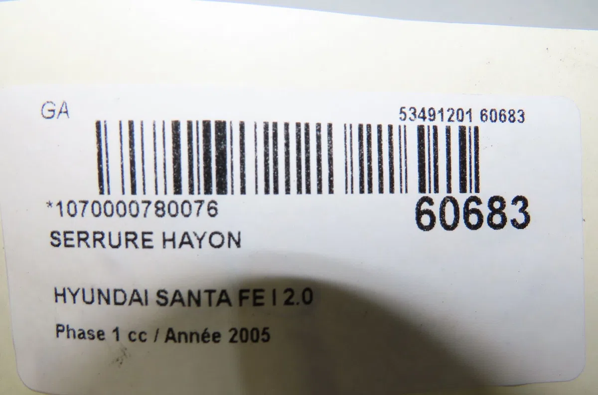 Serrure hayon Hyundai SANTA FÉ I (SM) 2.0 crdi 4x4 (2003-2006) occasion