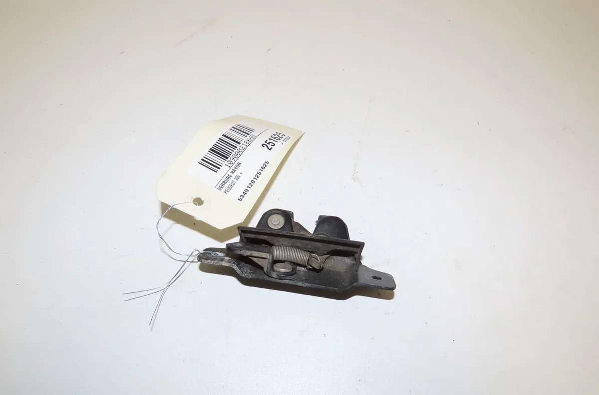 Serrure hayon Peugeot 206 (2L_, 2M_) 1.4 hdi eco 70 (2009-2013) 5 portes occasion