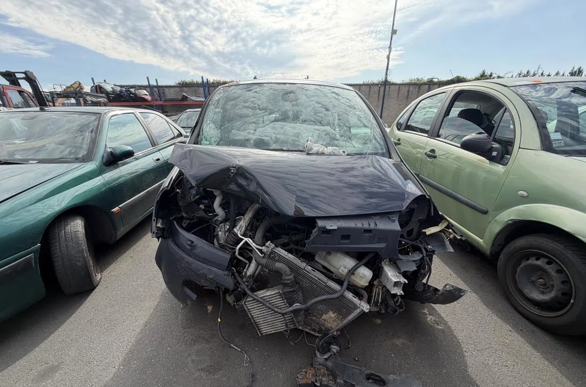 Serrure porte ard RENAULT MODUS PHASE 1 occasion