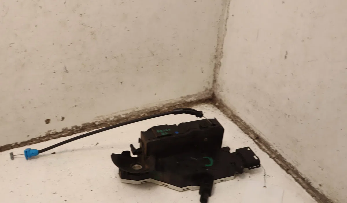 Serrure porte avg Citroën C4 PICASSO I Monospace (UD_) 1.6 hdi (2007-2013) 5 portes occasion