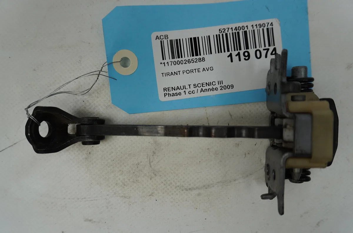 Tirant porte avg Renault SCÉNIC III (JZ0-1_) 1.9 dci (jz0j, jz1j, jz1k, jz1s) (2009) occasion