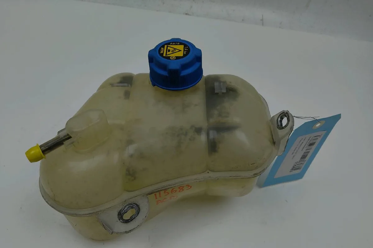 Vase expansion Fiat BRAVO II (198_) 1.9 d multijet (198axb1a) (2007-2014) occasion