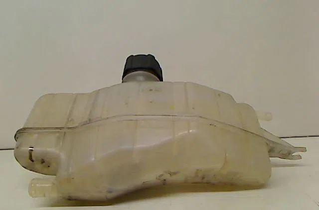 Vase expansion RENAULT CLIO 2009 occasion