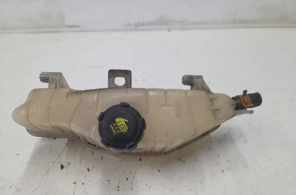 Vase expansion RENAULT CLIO 3 PHASE 2 BREAK occasion