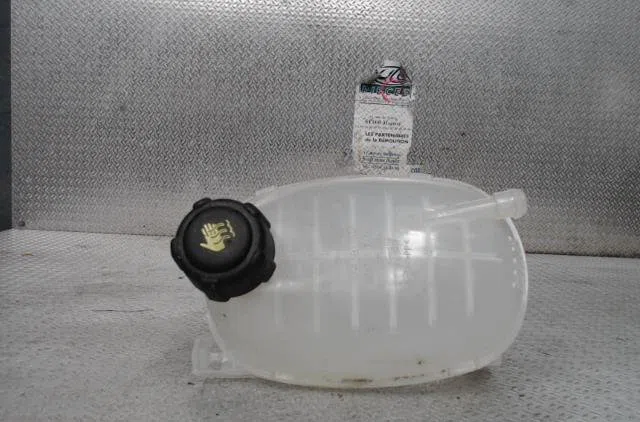 Vase expansion RENAULT CLIO 5  CLIO 5 PHASE 1 occasion