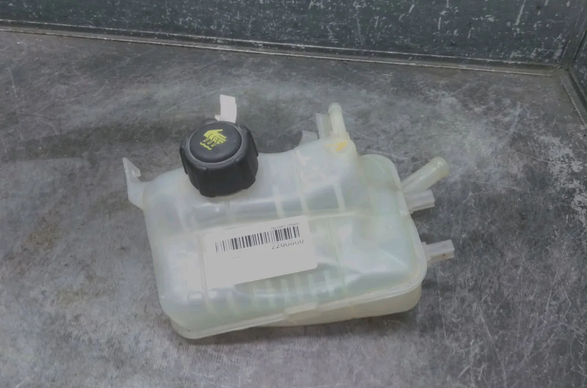 Vase expansion Renault GRAND SCÉNIC III (JZ0-1_) 1.9 dci (2009) occasion