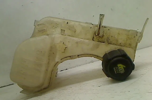 Vase expansion Renault LAGUNA III (BT0-1) 1.5 dci (bt00, bt0a, bt0t, bt1j) (2007-2015) 5 portes occasion