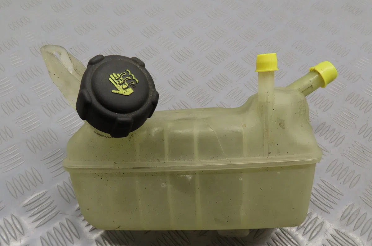 Vase expansion Renault MEGANE II (BM0-1_, CM0-1_) 1.9 dci (2005-2009) occasion