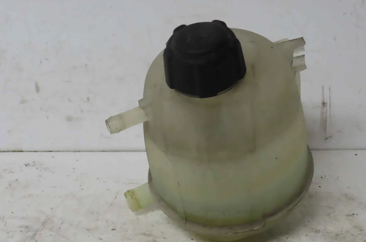 Vase expansion RENAULT SCENIC I occasion