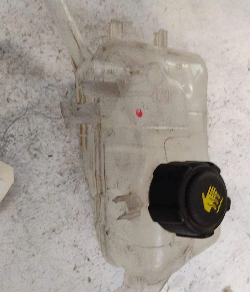Vase expansion Renault SCÉNIC III (JZ0-1_) 1.5 dci (2009) 5 portes occasion