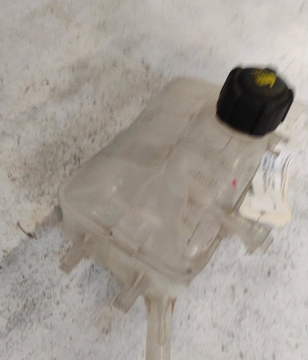 Vase expansion Renault SCÉNIC III (JZ0-1_) 1.5 dci (2009) 5 portes occasion