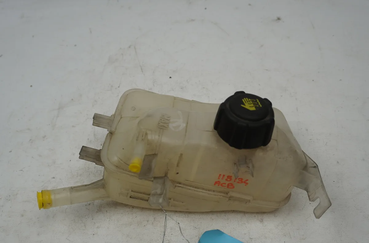 Vase expansion Renault SCÉNIC III (JZ0-1_) 2.0 dci (jz0y, jz26) (2009) occasion