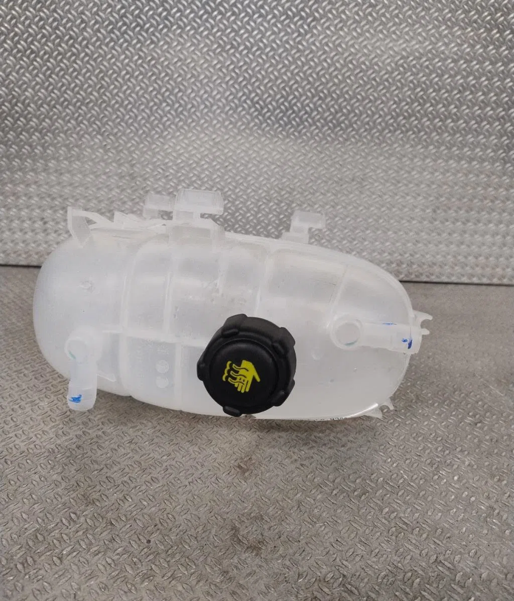 Vase expansion Renault TRAFIC III Camionnette (FG_) 1.6 dci 125 (fgmh) (2015) occasion