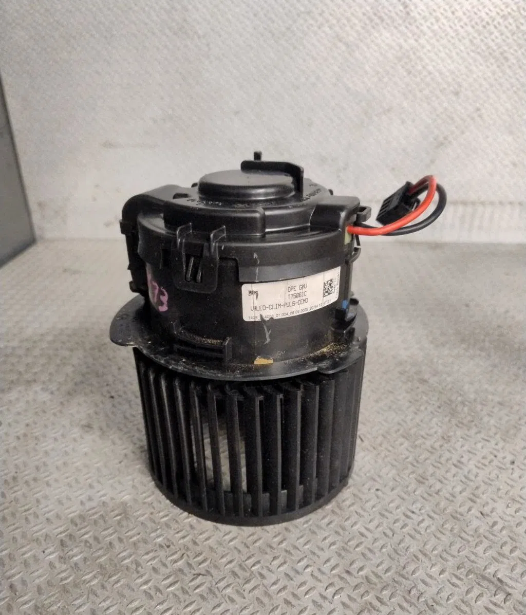 Ventilateur de chauffage Ds DS 4 II (F_, FB_, F3_) Bluehdi 130 (fbyhzt) (2021) occasion