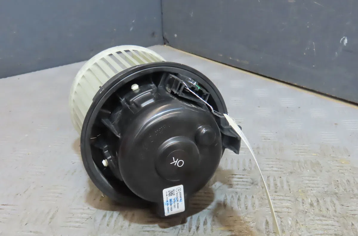 Ventilateur de chauffage Peugeot 208 II (UB_, UP_, UW_, UJ_) 1.2 puretech 100 (2019) 5 portes occasion