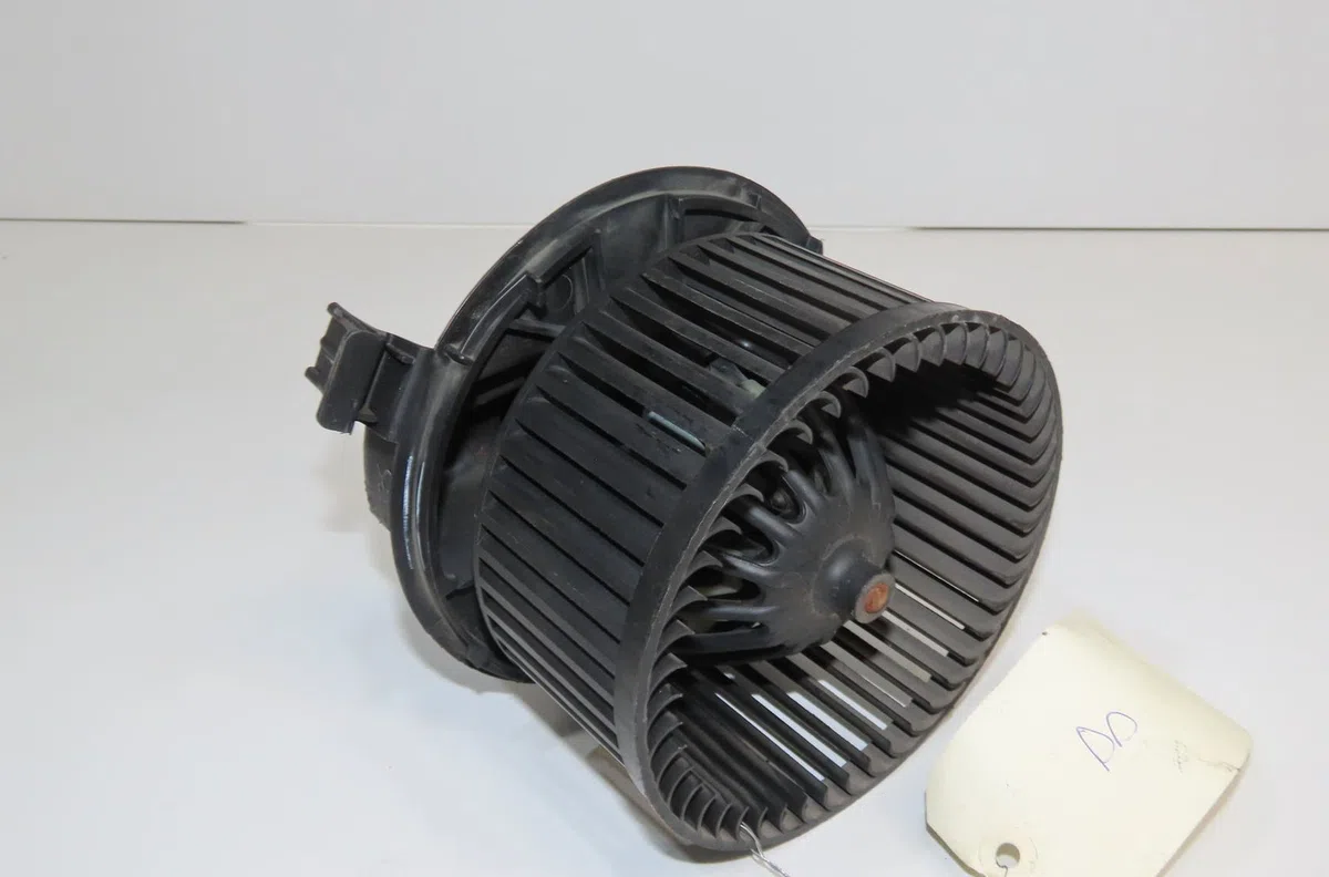 Ventilateur de chauffage Renault CLIO III (BR0-1, CR0-1) 1.6 16v (br05, br0b, br0y, br15, br1j, br1m, br1y, cr0b,... (20