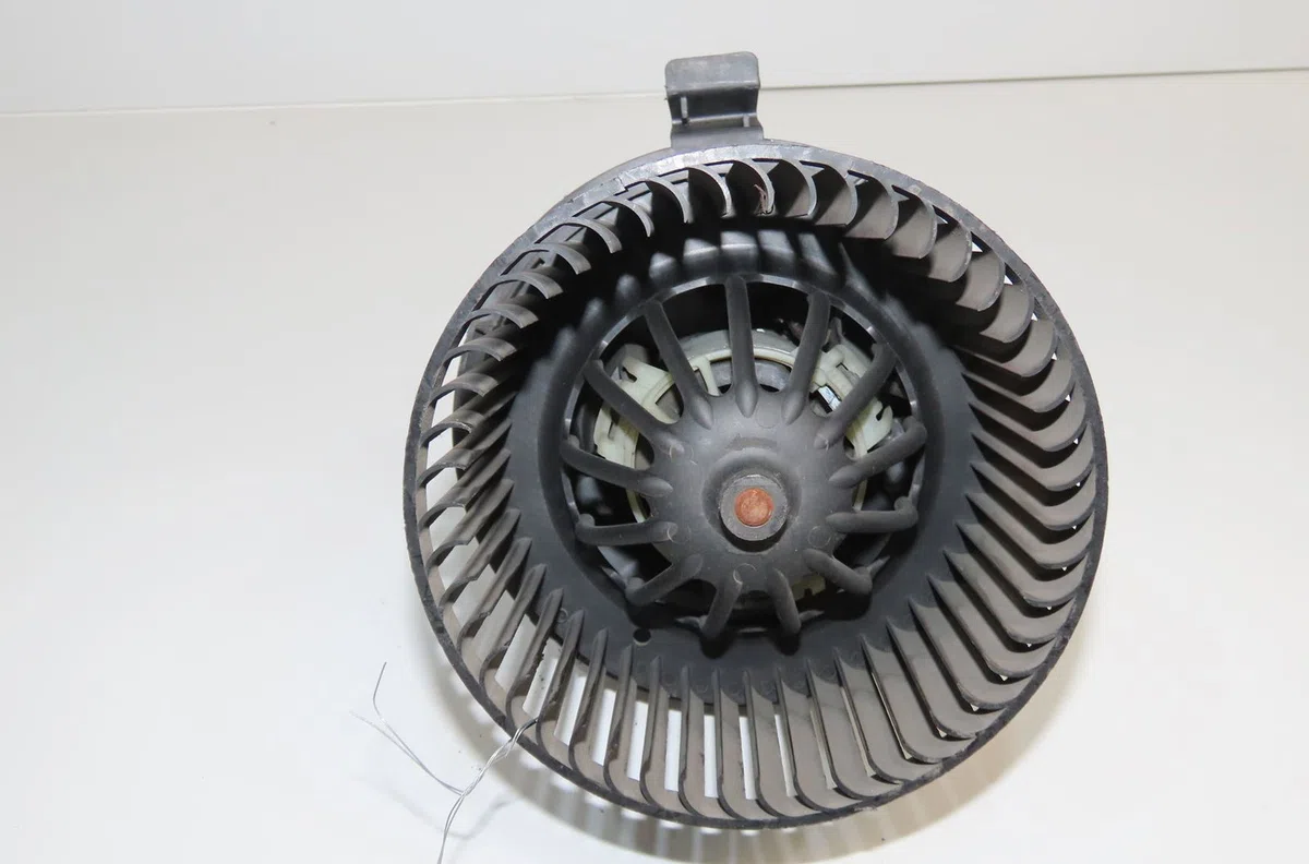 Ventilateur de chauffage Renault CLIO III (BR0-1, CR0-1) 1.6 16v (br05, br0b, br0y, br15, br1j, br1m, br1y, cr0b,... (20