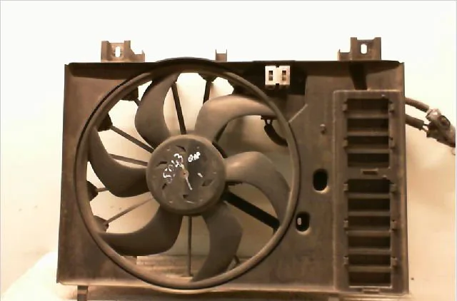 Ventilateur de refroidissement Citroën C5 III Break (RW_) 2.0 hdi 165 (2009) occasion