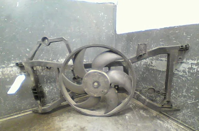 Ventilateur de refroidissement Dacia SANDERO II 1.2 (2012) occasion