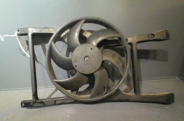 Ventilateur de refroidissement Fiat 500 (312_) 1.2 (312axa1a) (2007) 3 portes occasion