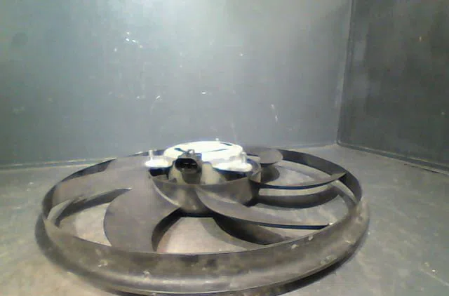 Ventilateur de refroidissement Fiat GRANDE PUNTO (199_) 1.2 (2005) occasion