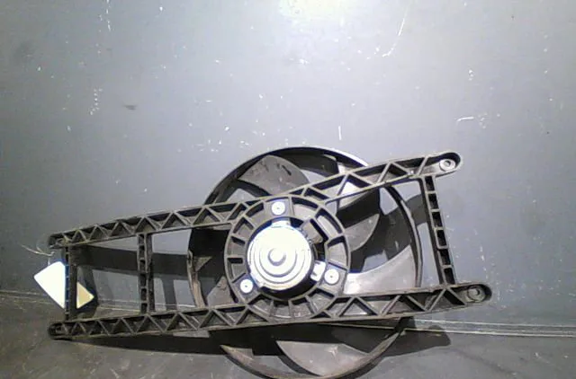 Ventilateur de refroidissement Fiat PANDA (169_) 1.2 (169axf2a, 169axf1a) (2010-2013) occasion