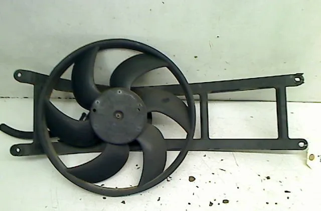 Ventilateur de refroidissement Fiat PANDA (169_) 1.2 (169axf2a, 169axf1a) (2010-2013) occasion