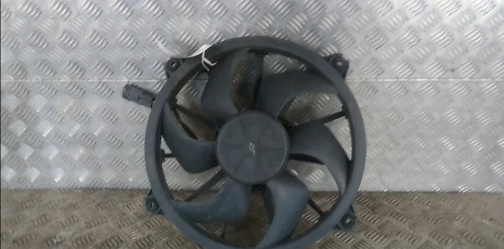 Ventilateur de refroidissement g Fiat SCUDO Camionnette (270_, 272_) 2.0 d multijet (2007-2016) occasion