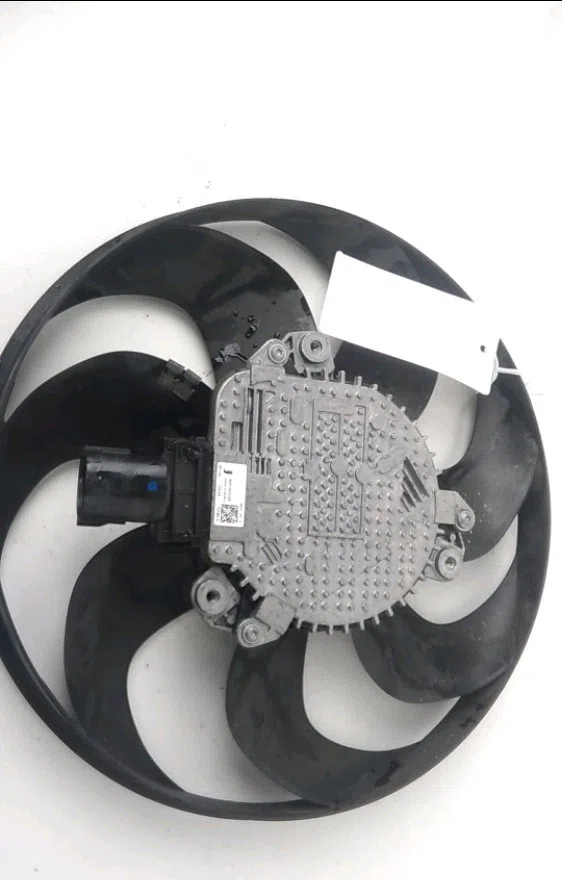 Ventilateur de refroidissement g Renault TRAFIC III Camionnette (FG_) 2.0 dci 130 (fgmy) (2021) occasion