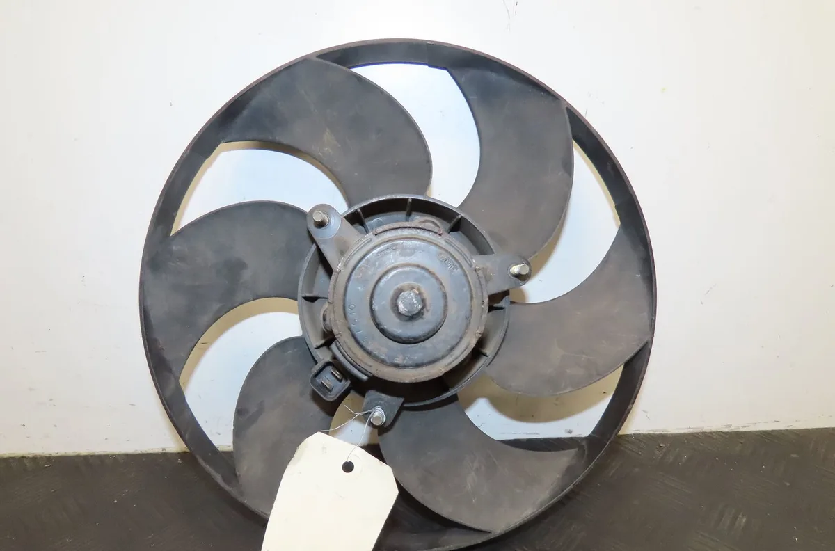 Ventilateur de refroidissement Peugeot 206 3-5 portes (2A-C) 1.9 d (1998-2001) 5 portes occasion
