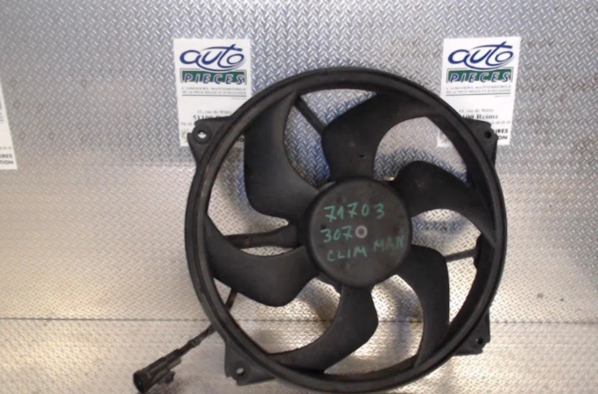 Ventilateur de refroidissement Peugeot 307 (3A-C) 2.0 hdi 110 (2000-2007) occasion