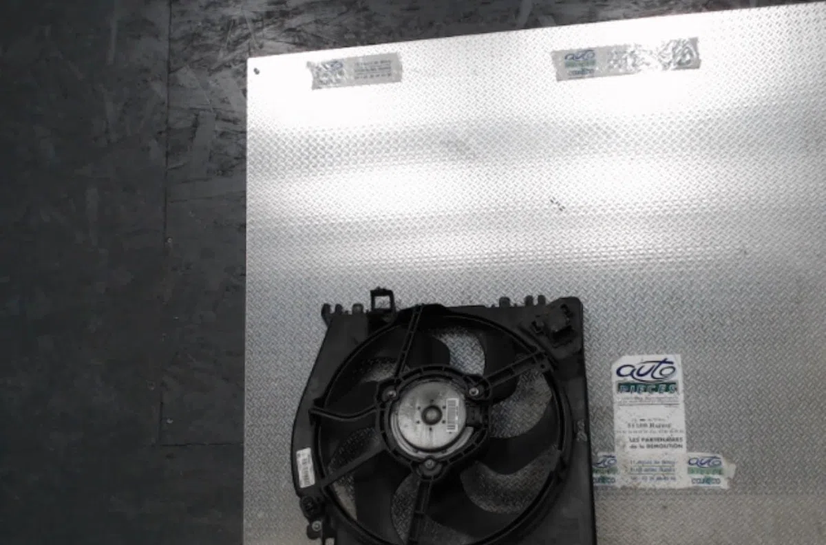 Ventilateur de refroidissement Renault CLIO III (BR0-1, CR0-1) 1.5 dci (br17, cr17) (2005-2012) 5 portes occasion