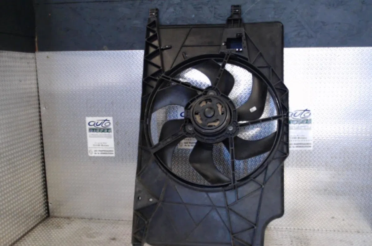 Ventilateur de refroidissement Renault ESPACE IV (JK0-1_) 2.0 dci (jk02, jk03) (2006) 5 portes occasion