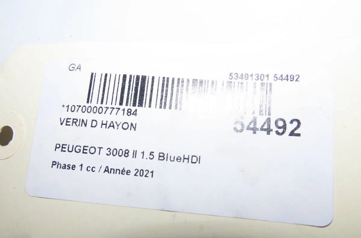 Verin droit hayon Peugeot 3008 SUV (MC_, MR_, MJ_, M4_) 1.5 bluehdi 130 (2018) 5 portes occasion